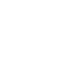 Saga Movement